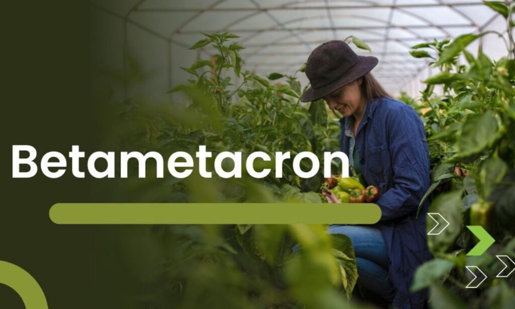 Betametacron: Uses, Benefits, and Precautions