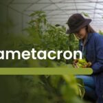 Betametacron: Uses, Benefits, and Precautions