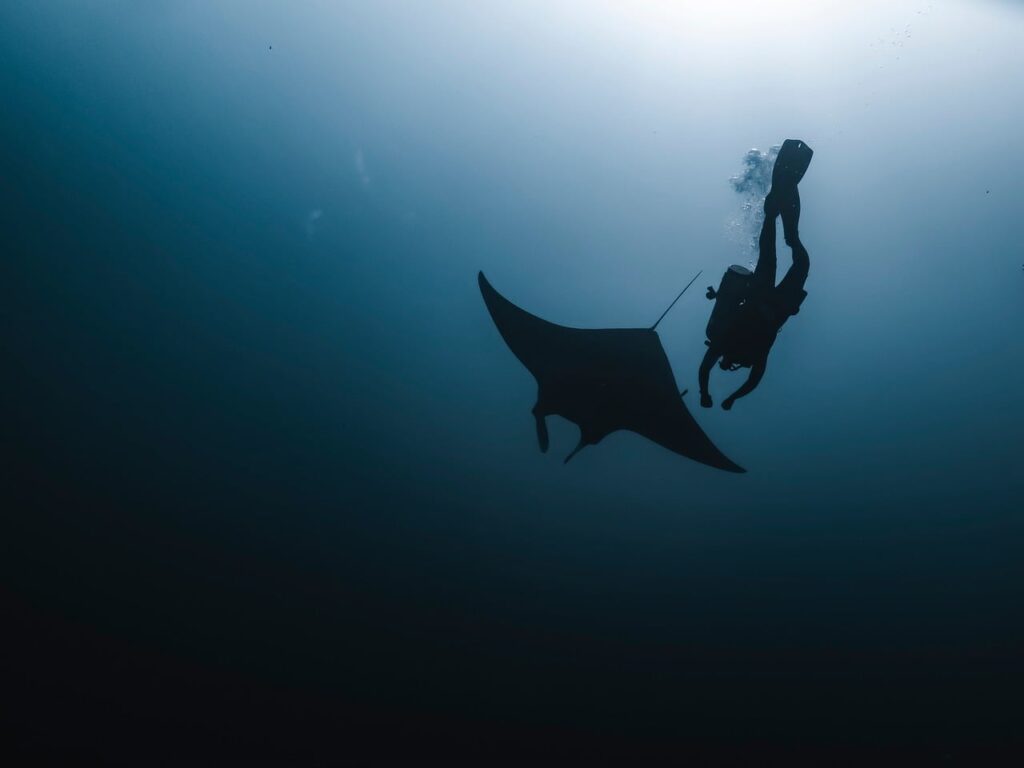 Trwho.com: A Deep Dive into Its Unique Content