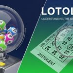 Lotology: Understanding the Basics and Beyond