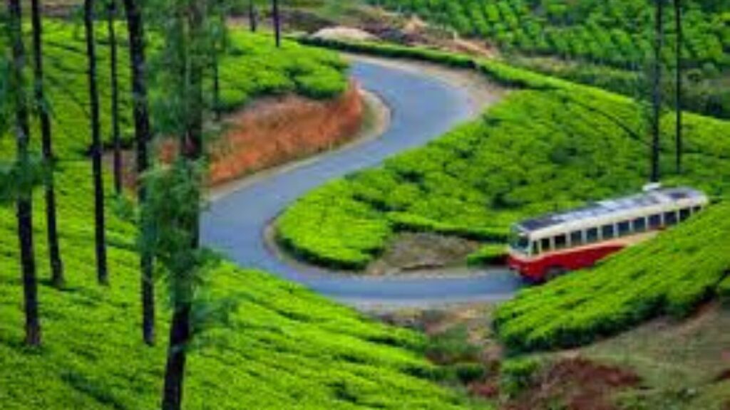 Why Choose a Cochin Munnar Alleppey Tour for Your Kerala Vacation