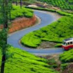Why Choose a Cochin Munnar Alleppey Tour for Your Kerala Vacation