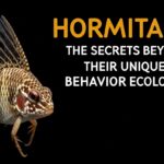 Hormita: The Secrets Behind Their Unique Behavior and Ecology
