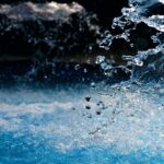 Babeltee: A Comprehensive Guide to Its Features and Benefits